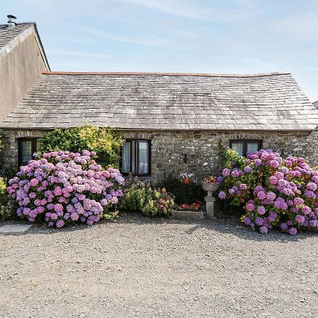 Coach House Cottage 布德 外观 照片