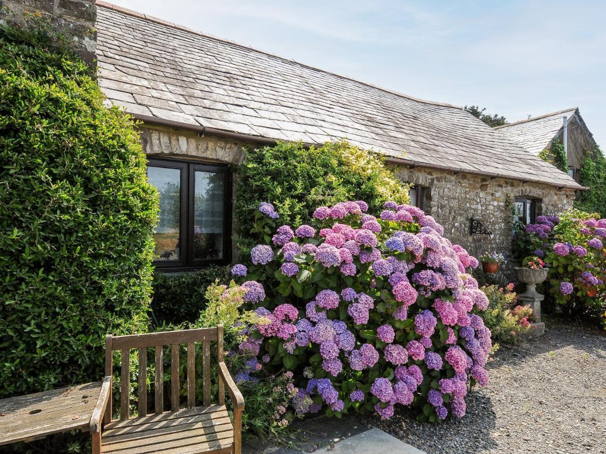 Coach House Cottage 布德 外观 照片